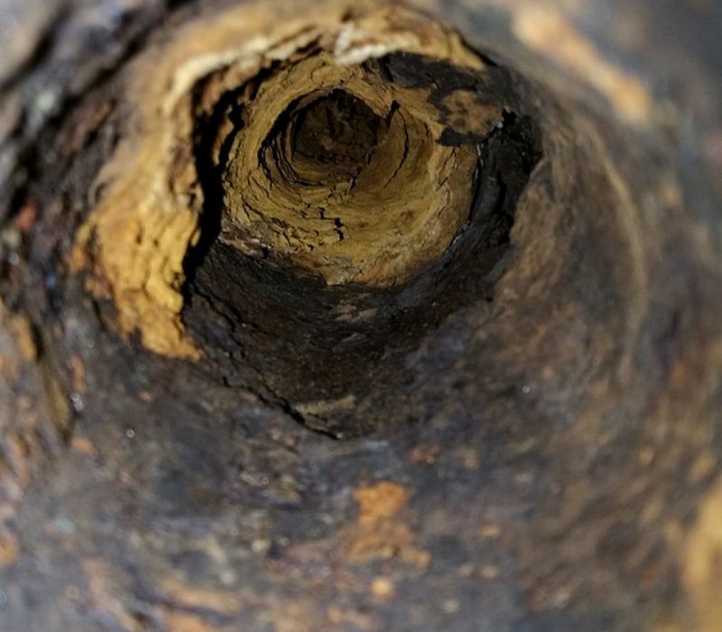 Bothell-Leak-Detection-Near-Me