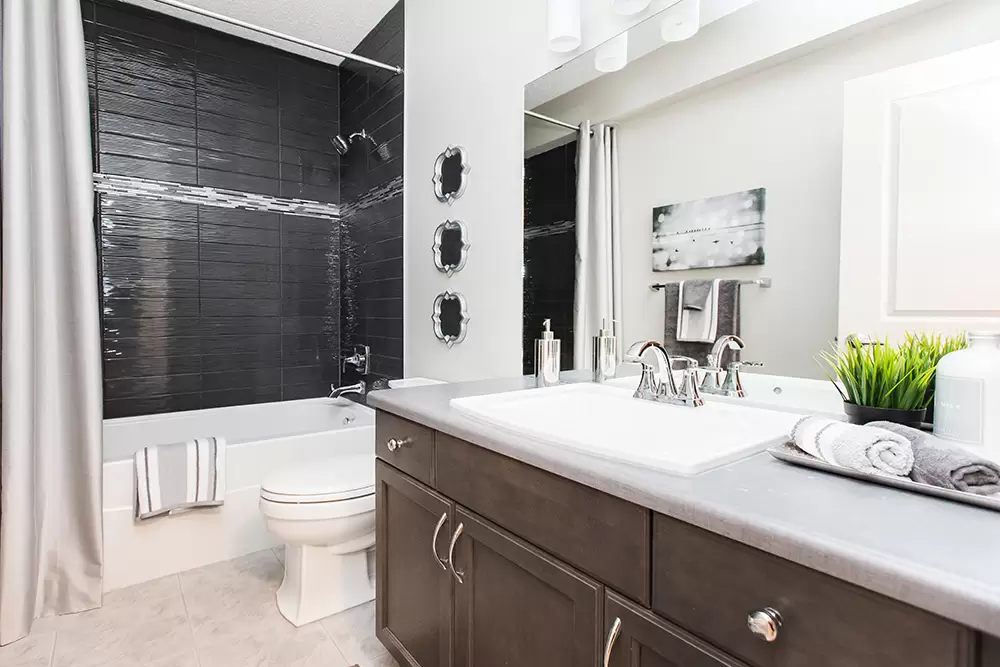 Professional-Repipes-Remodels